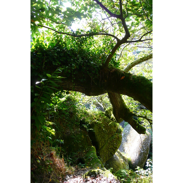 照片 法国(France) 于埃尔瓜特(Huelgoat) 2007-08 61
