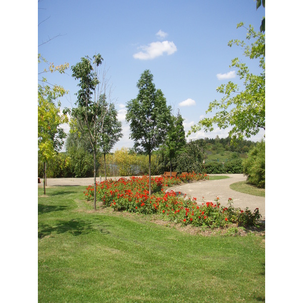 照片 法国(France) 维尔讷夫拉加雷讷(Villeneuve La Garenne) 尚特雷讷公园(Parc des Chanteraines) 2007-07 1