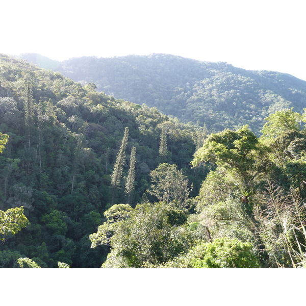照片 新喀里多尼亚(New Caledonia) 卡纳拉至拉福阿公路(Canala to La Foa road) 2010-05 51