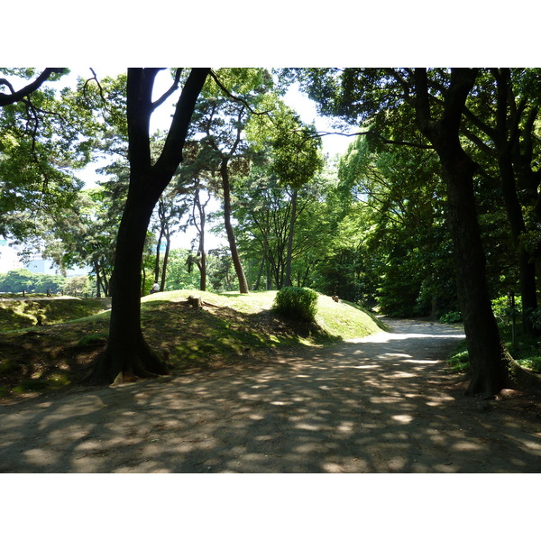 照片 日本(Japan) 东京(Tokyo) 滨离宫恩赐庭园(Hama rikyu Gardens) 2010-06 49