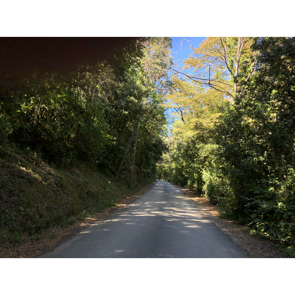 照片 法国(France) 科西嘉岛(Corsica) 圣朱利亚诺(San Giuliano) 2018-09 5
