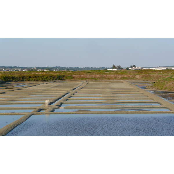 照片 法国(France) 盖朗德(Guerande) 盐田(Les marais salants) 2007-08 21