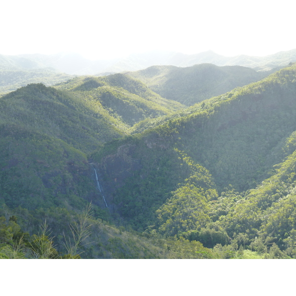 照片 新喀里多尼亚(New Caledonia) 卡纳拉至拉福阿公路(Canala to La Foa road) 2010-05 46