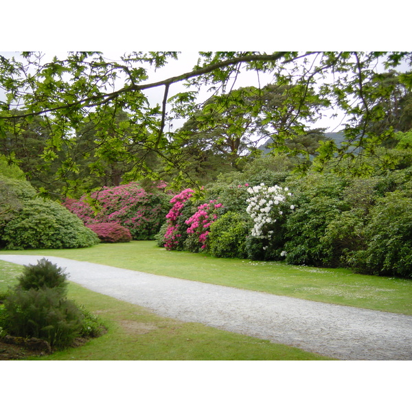 照片 爱尔兰(Ireland) 凯里郡(Kerry) 基拉尼国家公园(Killarney National Park) 马克罗斯庄园(Muckross House) 2004-05 17