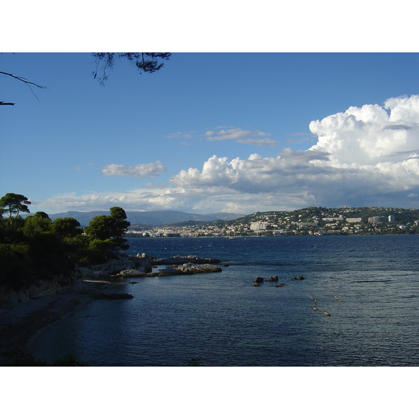 照片 法国(France) 戛纳(Cannes) 圣玛格丽特岛(Sainte Marguerite) 2005-10 7