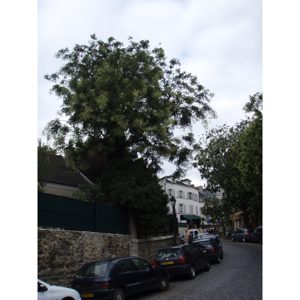 照片 法国(France) 巴黎(Paris) 第十八区(18th Arrondissement) 2007-07 48