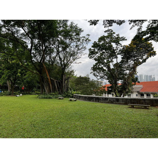 照片 新加坡(Singapore) 福康宁公园(Fort Canning Park) 2023-01 6
