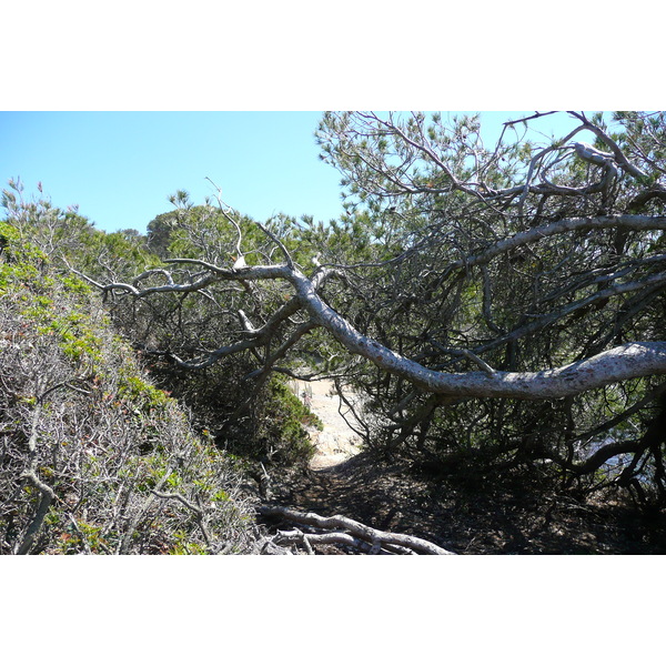 照片 法国(France) 波克罗勒岛(Porquerolles Island) 勒坎海滩(Lequin beach) 2008-05 16