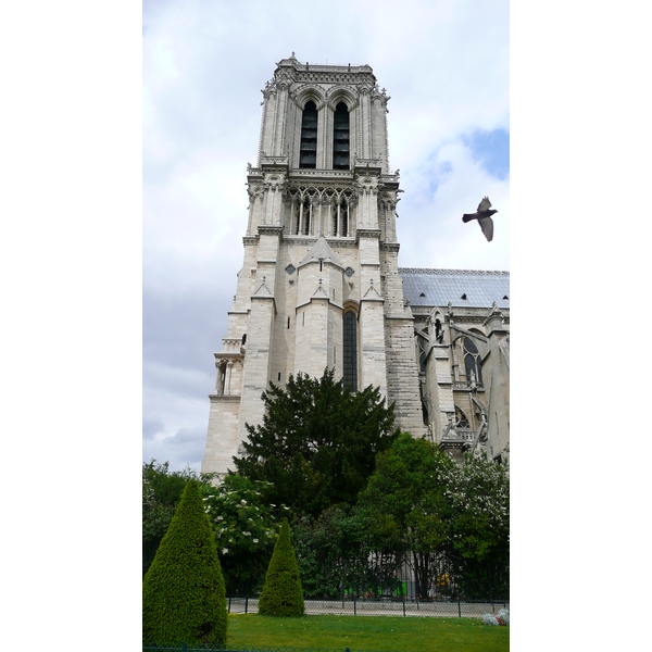 照片 法国(France) 巴黎(Paris) 巴黎圣母院(Notre Dame) 2007-05 53