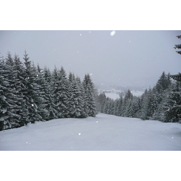 照片 法国(France) 梅杰夫(Megeve) 阿尔布瓦山(Mont d'Arbois) 2010-02 287