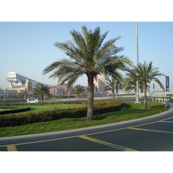 照片 阿联酋(United Arab Emirates) 迪拜(Dubai) 2007-03 18