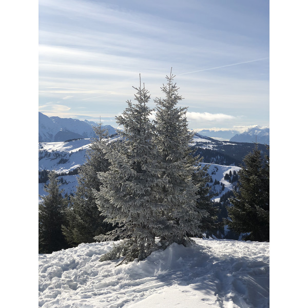 照片 法国(France) 阿尔利河畔普拉(Praz sur Arly) 2019-12 476