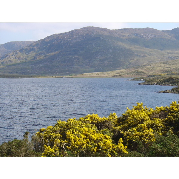 照片 爱尔兰(Ireland) 凯里郡(Kerry) 卡拉湖(Caragh Lake) 2004-05 7