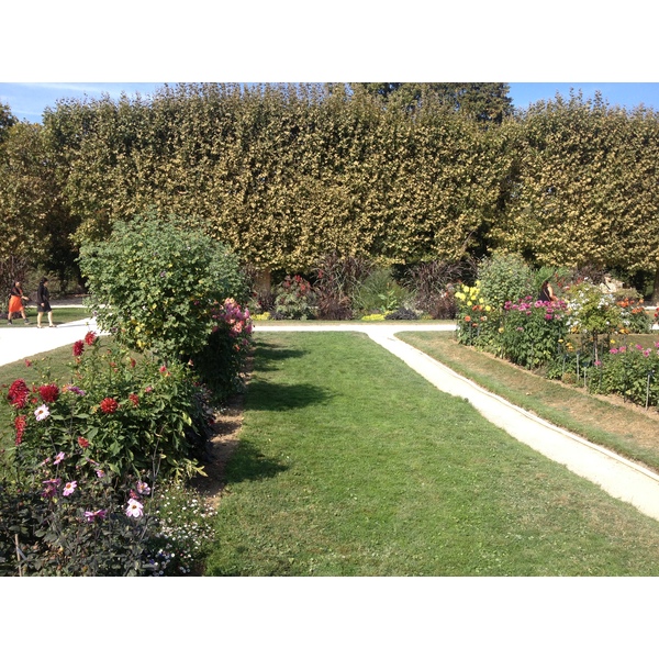 照片 法国(France) 巴黎(Paris) 巴黎植物园(Jardin des Plantes) 2014-09 28