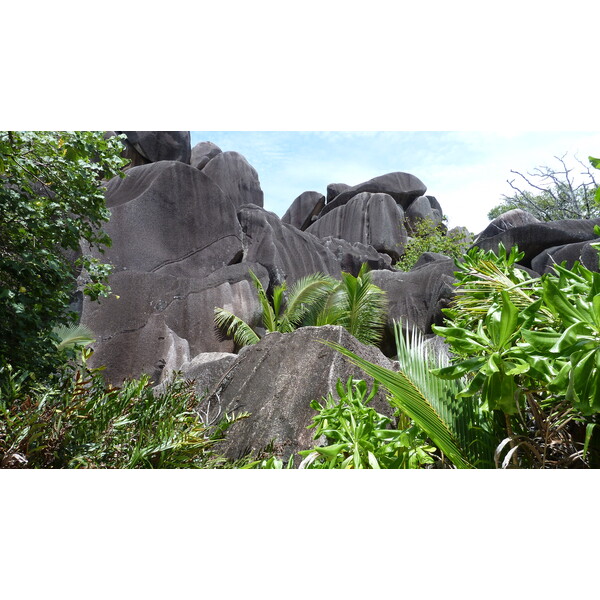 照片 塞舌尔(Seychelles) 2011-10 143