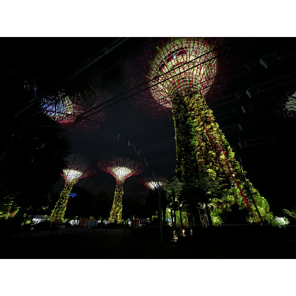 照片 新加坡(Singapore) 滨海湾花园(Garden by the bay) 2023-01 47