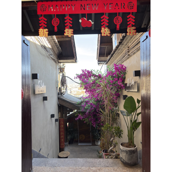照片 中国(China) 丽江(Lijiang) 2026-01 227