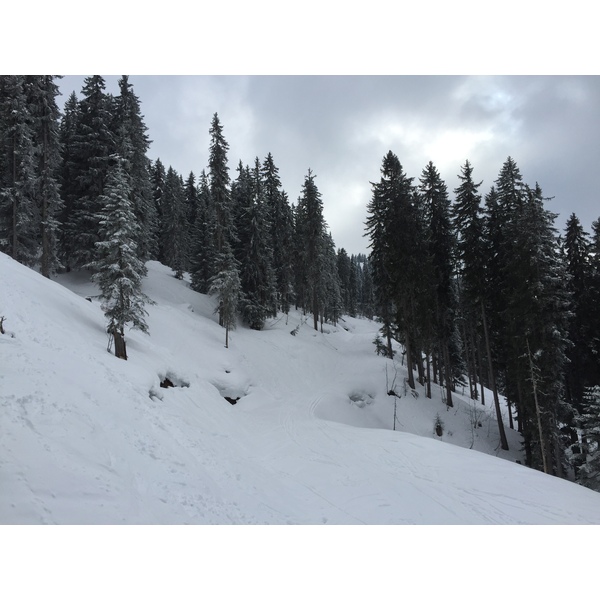 照片 法国(France) 梅杰夫(Megeve) 2016-02 89