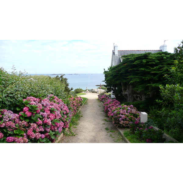 照片 法国(France) 卡朗泰克(Carantec) 2007-08 23