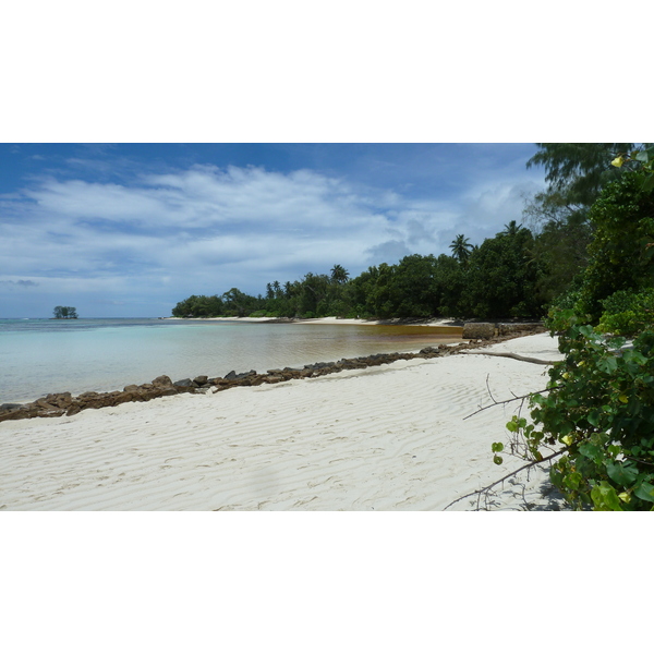 照片 塞舌尔(Seychelles) 拉迪格岛(La Digue) 2011-10 243