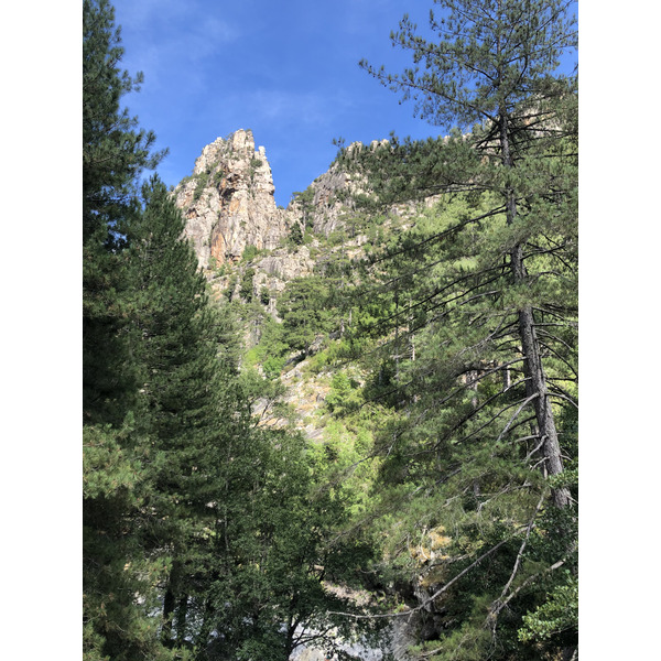 照片 法国(France) 科西嘉岛(Corsica) 雷斯托尼卡山谷(La Restonica) 2020-07 87
