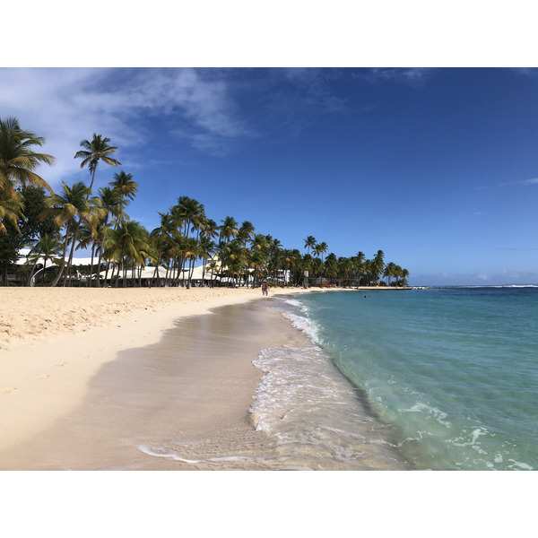 照片 瓜德罗普(Guadeloupe) 卡拉维尔海滩(La Caravelle Beach) 2021-02 8
