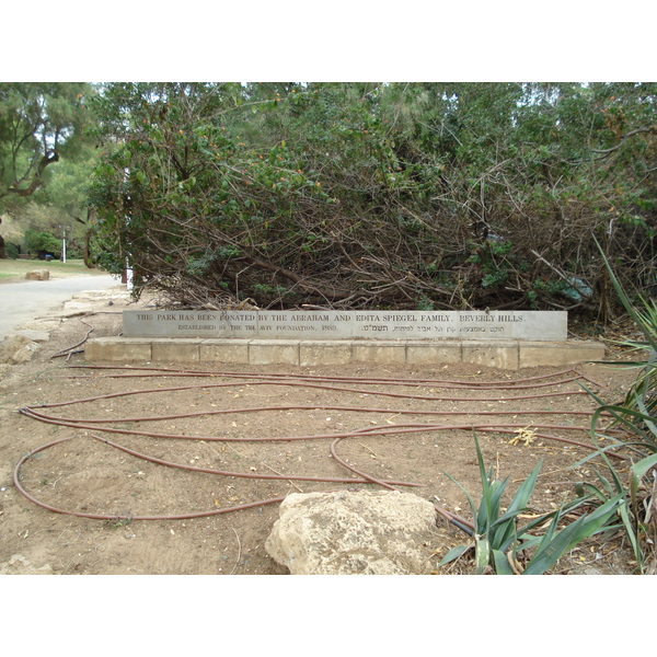 照片 以色列(Israel) 特拉维夫(Tel Aviv) 特拉维夫海岸(Tel Aviv Sea Shore) 2006-12 276
