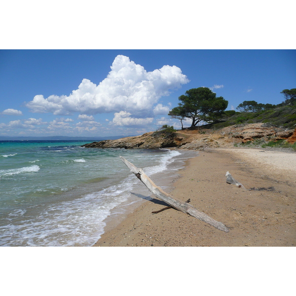 照片 法国(France) 波克罗勒岛(Porquerolles Island) 库尔塔德海滩(Courtade beach) 2008-05 30