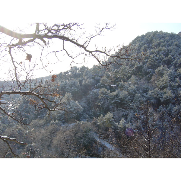 照片 法国(France) 旺斯(Vence) 2005-02 6