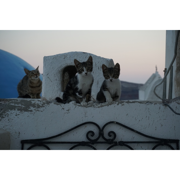 照片 希腊(Greece) 圣托里尼岛(Santorini) 伊亚洞穴屋(Oia cave house) 2016-07 12