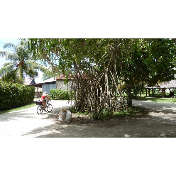 照片 塞舌尔(Seychelles) 拉迪格岛(La Digue) 2011-10 163