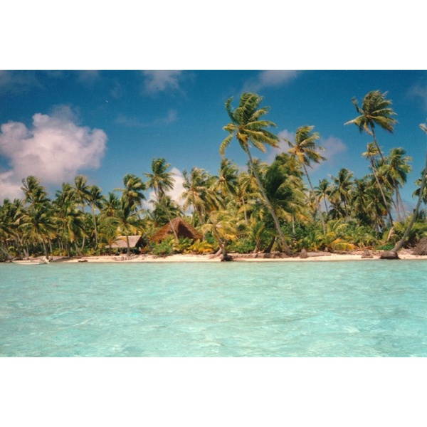 照片 波利尼西亚(Polynesia) 波拉波拉岛(Bora Bora) 1993-04 5