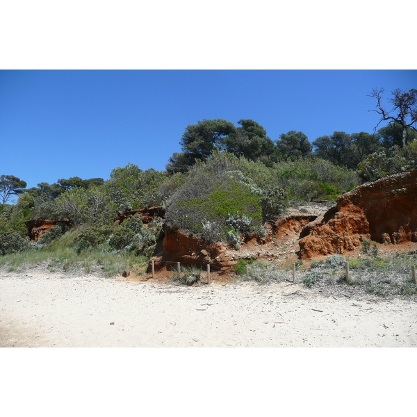 照片 法国(France) 波克罗勒岛(Porquerolles Island) 库尔塔德海滩(Courtade beach) 2008-05 22