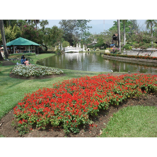 照片 泰国(Thailand) 清迈(Chiang Mai) 护城河内(Inside Canal) 布阿哈公园(Buak Had Park) 2006-04 4