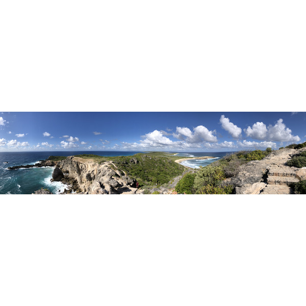 照片 瓜德罗普(Guadeloupe) 城堡角(Castle Point) 2021-02 70