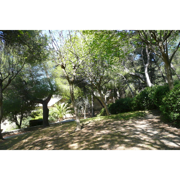 照片 法国(France) 博凯尔(Beaucaire) 博凯尔城堡(Beaucaire castle) 2008-04 31