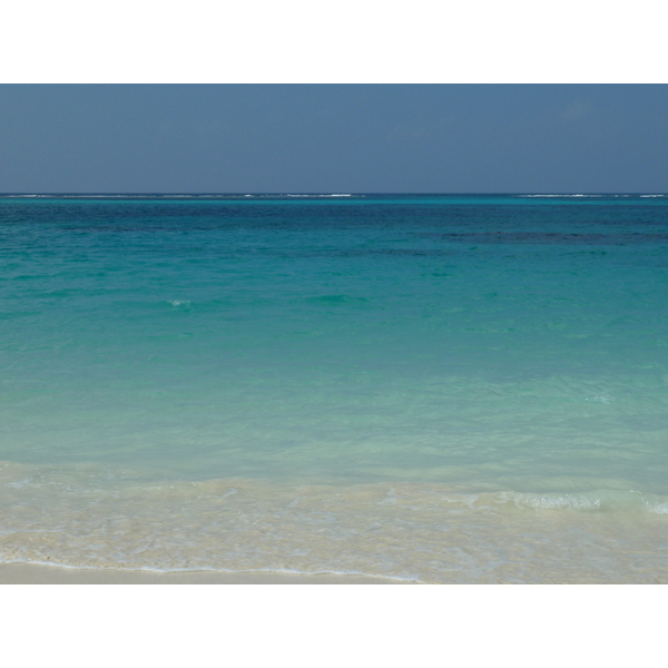 照片 新喀里多尼亚(New Caledonia) 利富岛(Lifou) 夏多布里昂湾(Chateaubriand Bay) 2010-05 12