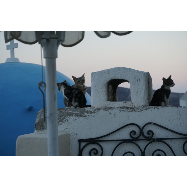 照片 希腊(Greece) 圣托里尼岛(Santorini) 伊亚洞穴屋(Oia cave house) 2016-07 23
