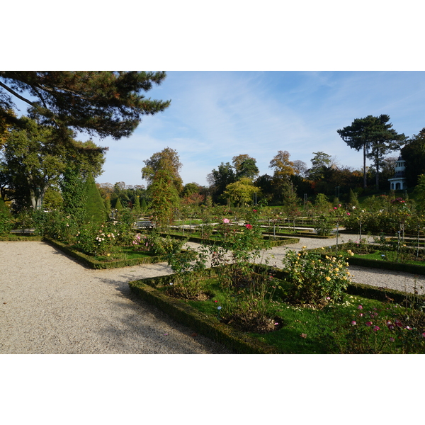照片 法国(France) 巴黎(Paris) 巴加泰勒公园(Bagatelles) 2016-10 7