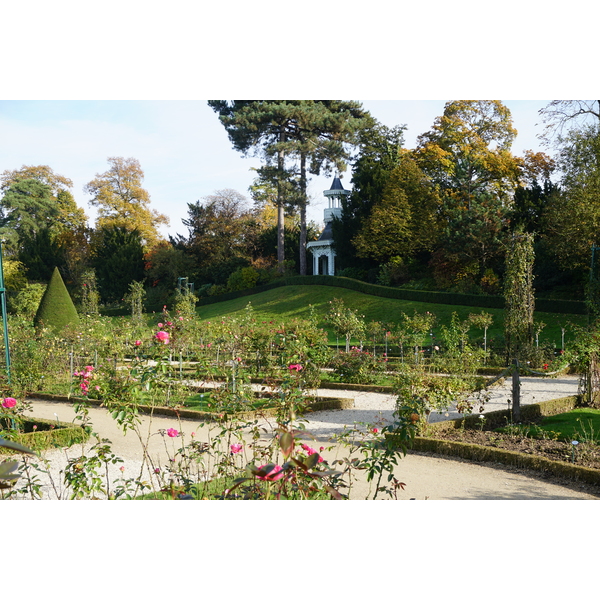 照片 法国(France) 巴黎(Paris) 巴加泰勒公园(Bagatelles) 2016-10 10