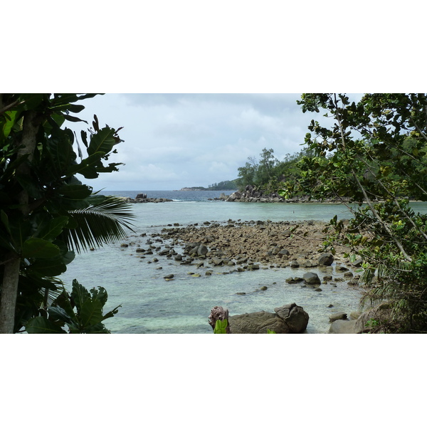 照片 塞舌尔(Seychelles) 马埃岛(Mahe) 2011-10 184