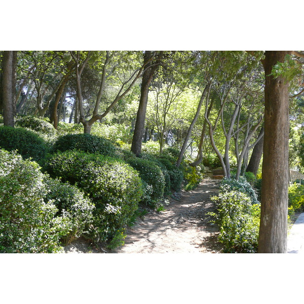 照片 法国(France) 博凯尔(Beaucaire) 博凯尔城堡(Beaucaire castle) 2008-04 14