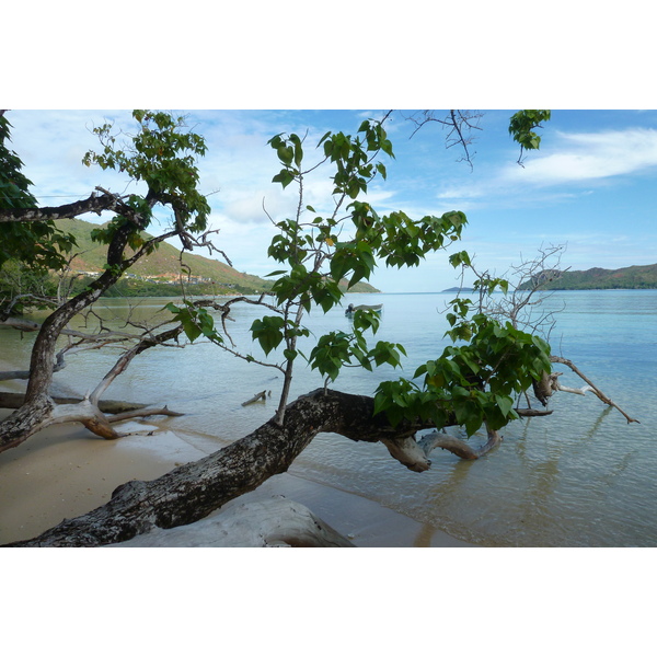 照片 塞舌尔(Seychelles) 2011-10 70