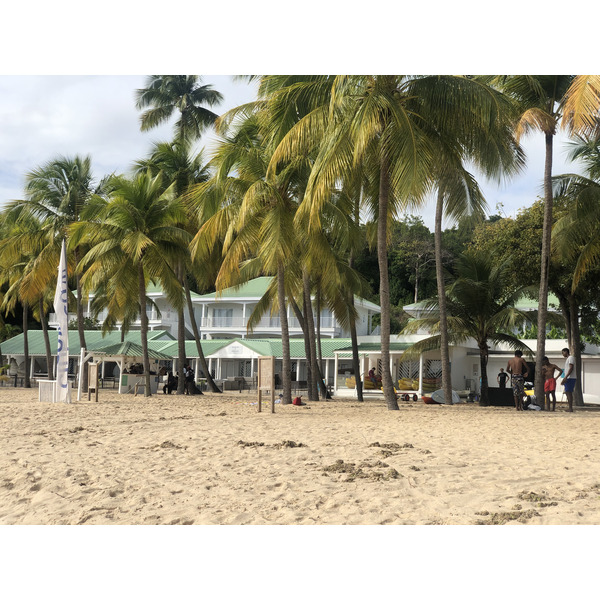 照片 瓜德罗普(Guadeloupe) 卡拉维尔海滩(La Caravelle Beach) 2021-02 161