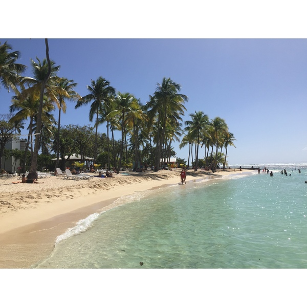 照片 瓜德罗普(Guadeloupe) 卡拉维尔海滩(La Caravelle Beach) 2021-02 86