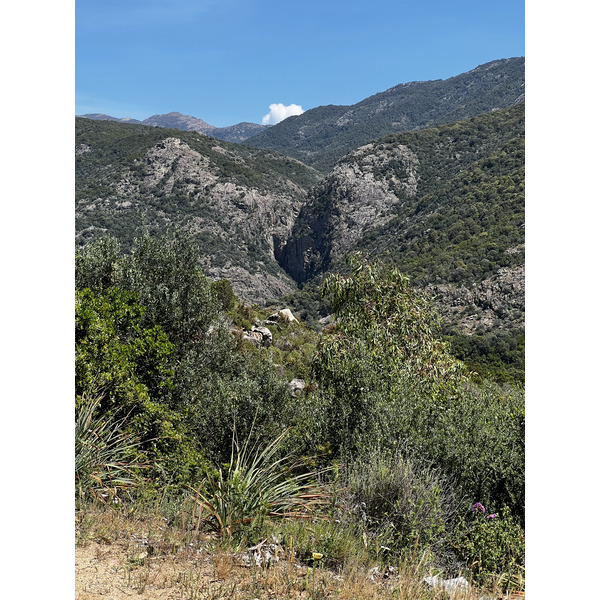 照片 法国(France) 科西嘉岛(Corsica) 罗索角(Capo Rosso) 2023-05 18
