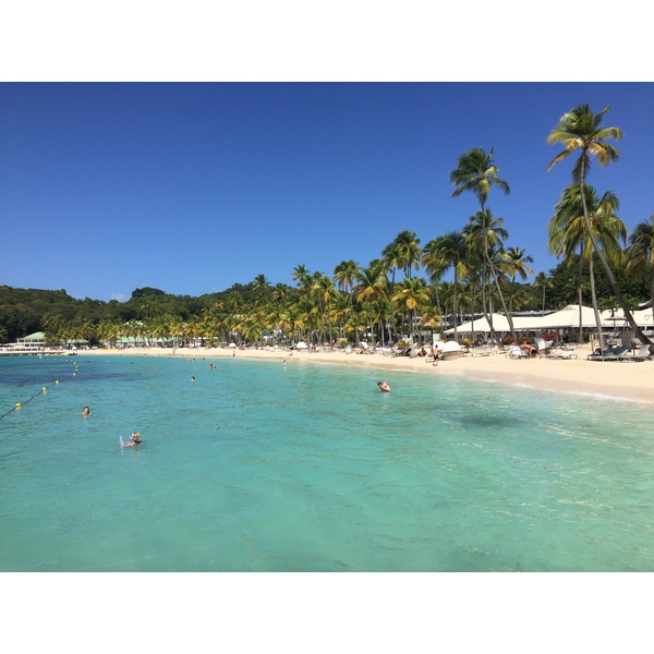 照片 瓜德罗普(Guadeloupe) 卡拉维尔海滩(La Caravelle Beach) 2021-02 55