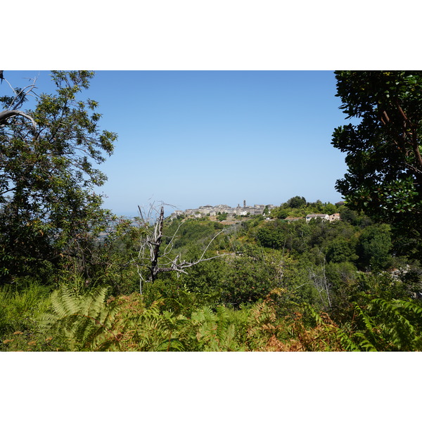 照片 法国(France) 科西嘉岛(Corsica) 彭塔-迪卡辛卡(Penta-di-Casinca) 2017-09 26