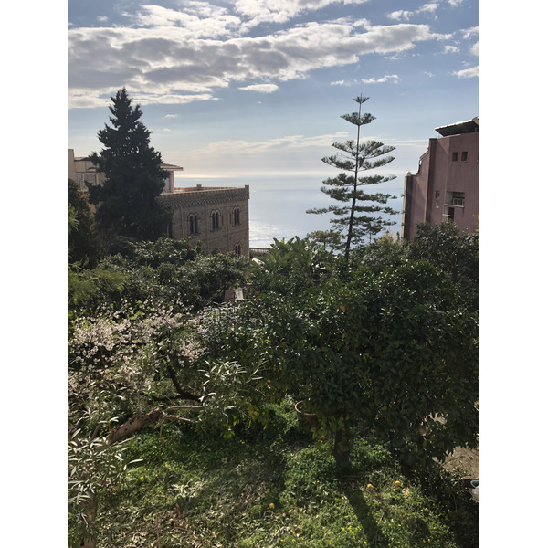 照片 意大利(Italy) 西西里岛(Sicily) 陶尔米纳(Taormina) 2020-02 29