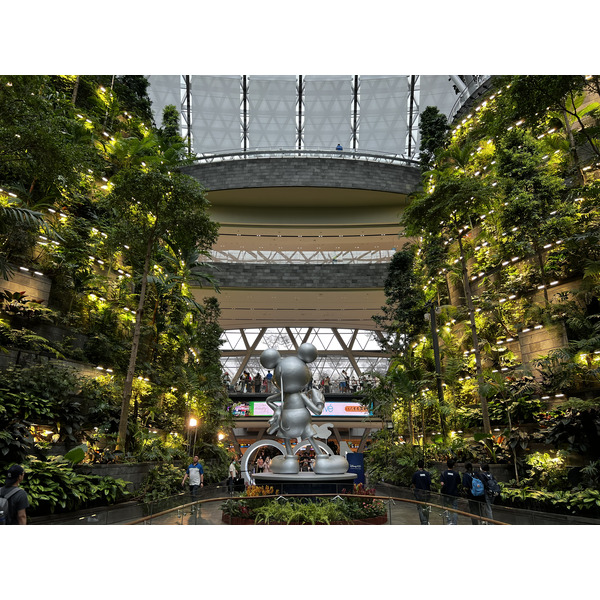 照片 新加坡(Singapore) 新加坡樟宜机场(Singapore Changi Airport) 2023-01 21